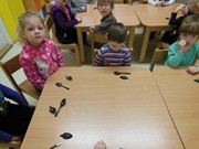 Workshop o životě mravenců